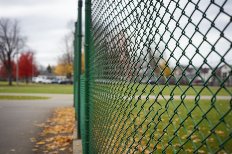 Chain Link Fence Painting